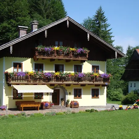 Pferdehof Almgut - Reiten Fuer Kinder, Und Erholung Nahe Salzburg Faistenau