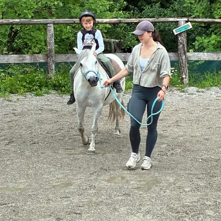 Pferdehof Almgut - Reiten Fuer Kinder, Und Erholung Nahe Salzburg *