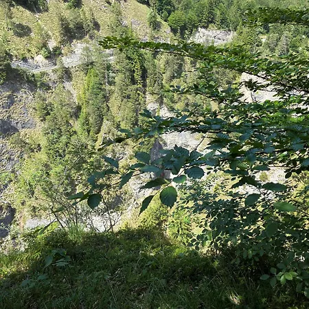 Pferdehof Almgut - Reiten Fuer Kinder, Und Erholung Nahe Salzburg