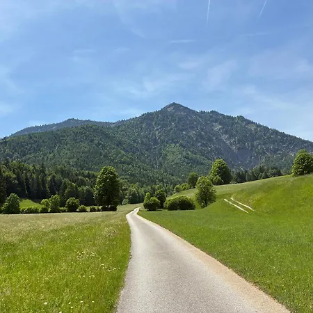 Pferdehof Almgut - Reiten Fuer Kinder, Und Erholung Nahe Salzburg Faistenau