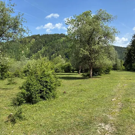 Apartmán Pferdehof Almgut - Reiten Fuer Kinder, Und Erholung Nahe Salzburg