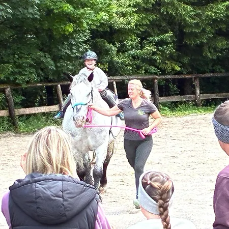 Pferdehof Almgut - Reiten Fuer Kinder, Und Erholung Nahe Salzburg * 芬斯特诺