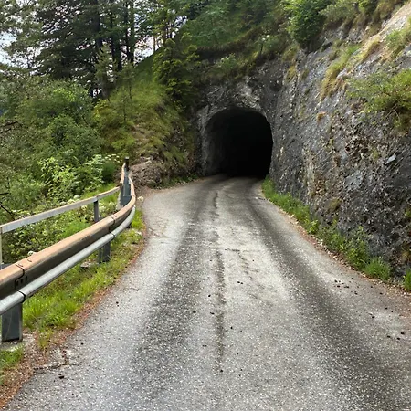 公寓 Pferdehof Almgut - Reiten Fuer Kinder, Und Erholung Nahe Salzburg *