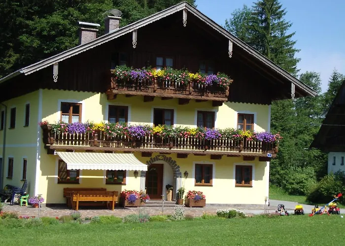 Pferdehof Almgut Faistenau