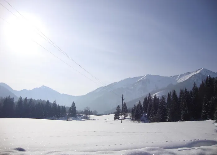 Pferdehof Almgut Lejlighed *