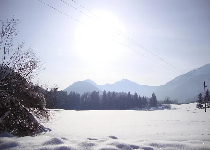 Pferdehof Almgut Lejlighed Faistenau