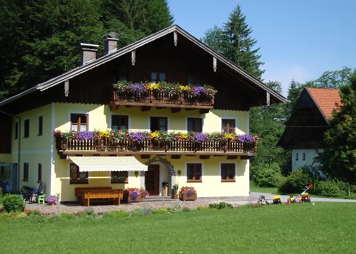 Pferdehof Almgut - Reiten Fuer Kinder, Und Erholung Nahe Salzburg Faistenau
